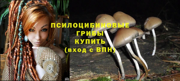 mdpv Алексин