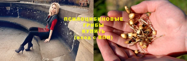 дживик Алзамай